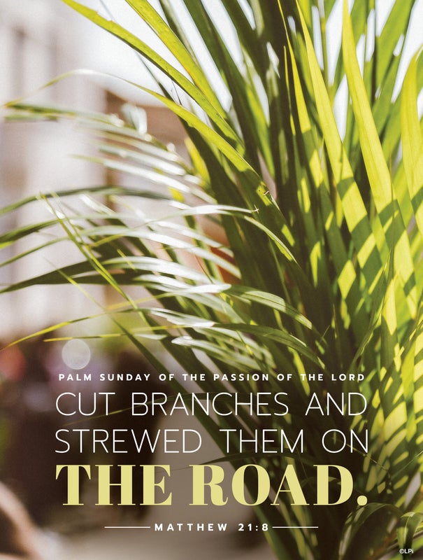 Cover of the St. Augustine parish bulletin for March 29, 2026.