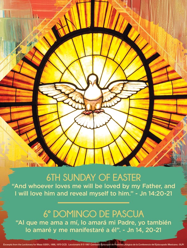 Cover of the St. Augustine parish bulletin for May 10, 2026.