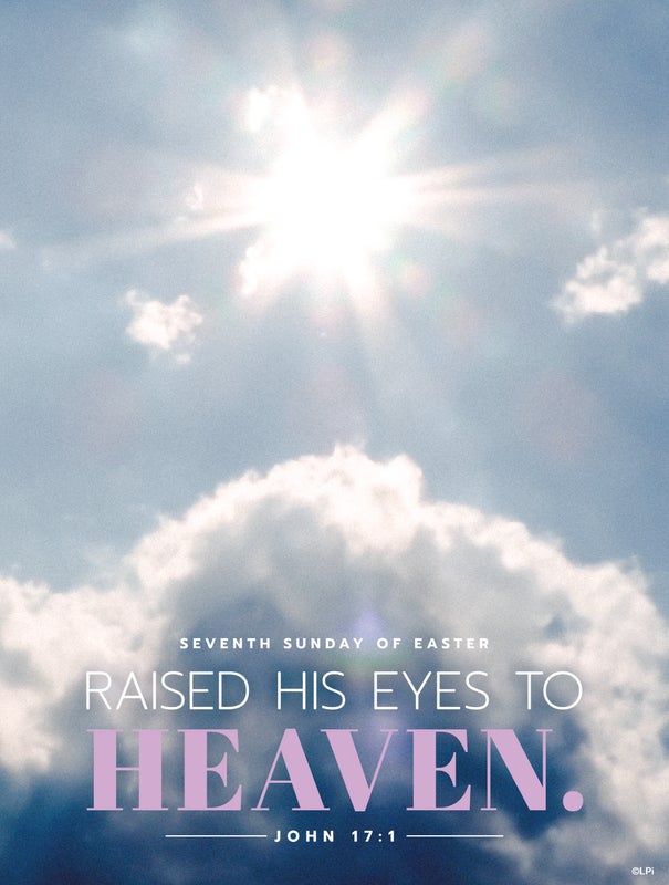 Cover of the St. Augustine parish bulletin for May 17, 2026.