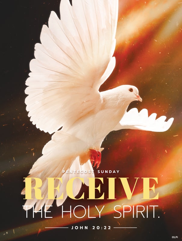 Cover of the St. Augustine parish bulletin for May 24, 2026.