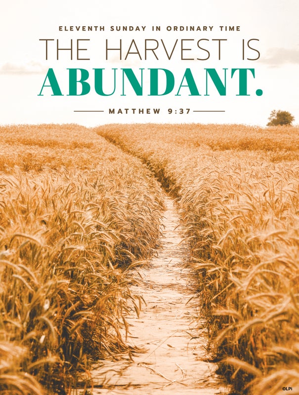 Cover of the St. Augustine parish bulletin for June 14, 2026.