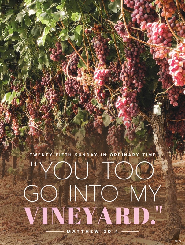 Cover of the St. Augustine parish bulletin for this issue.