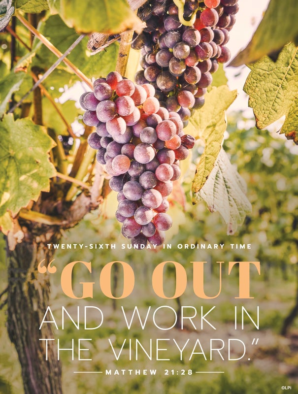 Cover of the St. Augustine parish bulletin for this issue.