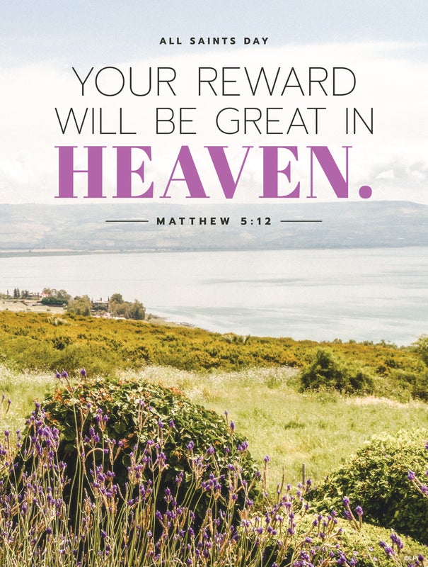 Cover of the St. Augustine parish bulletin for this issue.