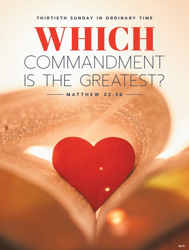 Cover of the St. Augustine parish bulletin for this issue.