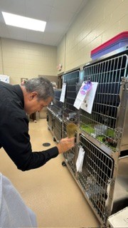 Father Mario blessing the animals at the shelter.