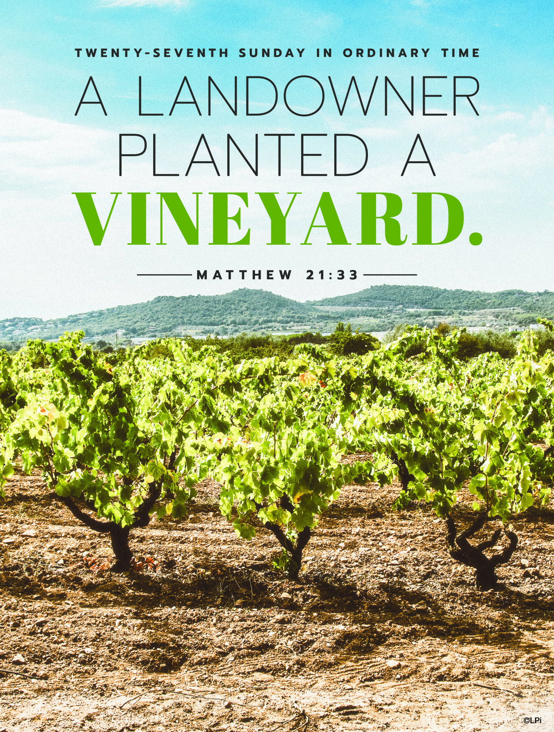 A LANDOWNER PLANTED A VINEYARD